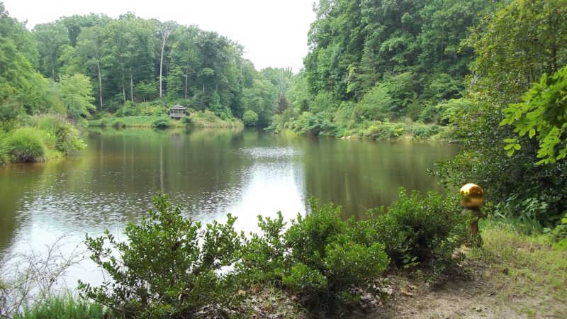 photo galleries zebulon 39 s grotto virginia 39 s premiere i love design